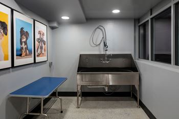 Dog wash room with stainless steel dog wash tub